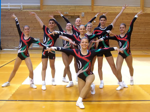 ginnastica aerobica