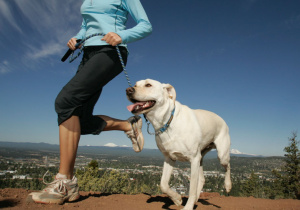 Correre con il cane