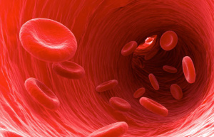 Sangue