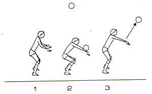 Bagher pallavolo