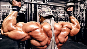 un gruppo muscolare al giorno