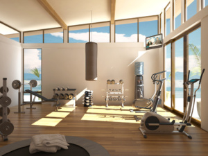 palestra in casa
